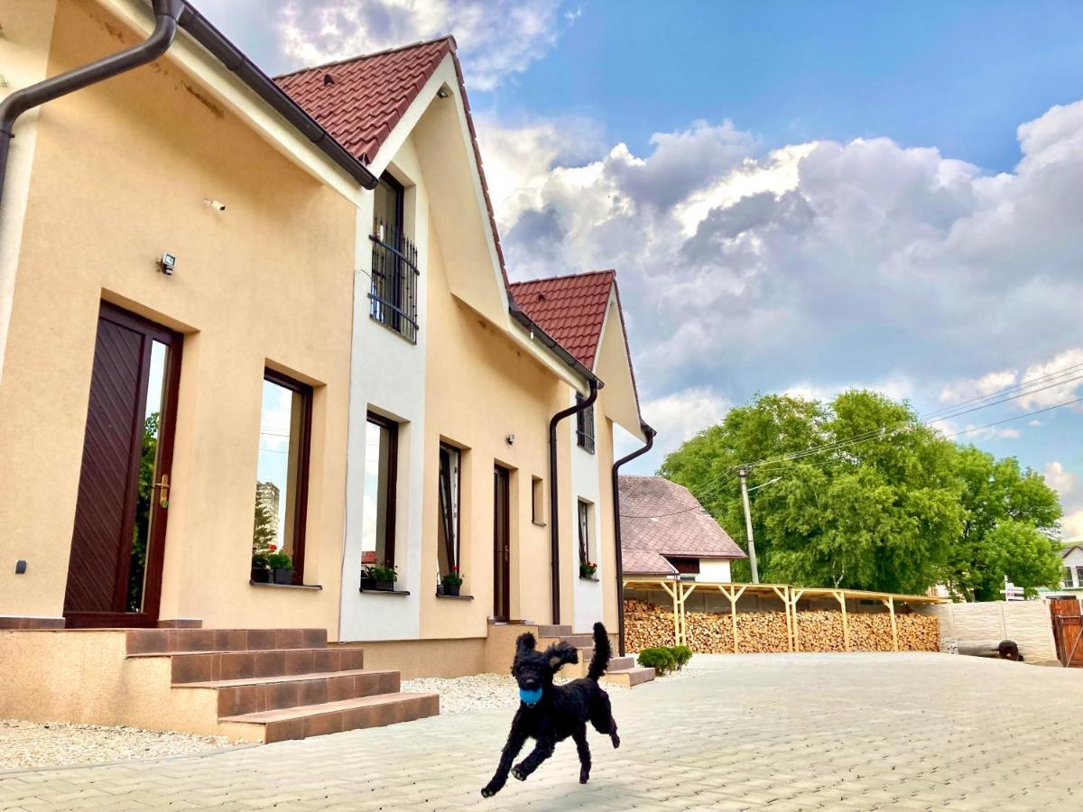 Vila Lesana Nová Lesná Kültér fotó