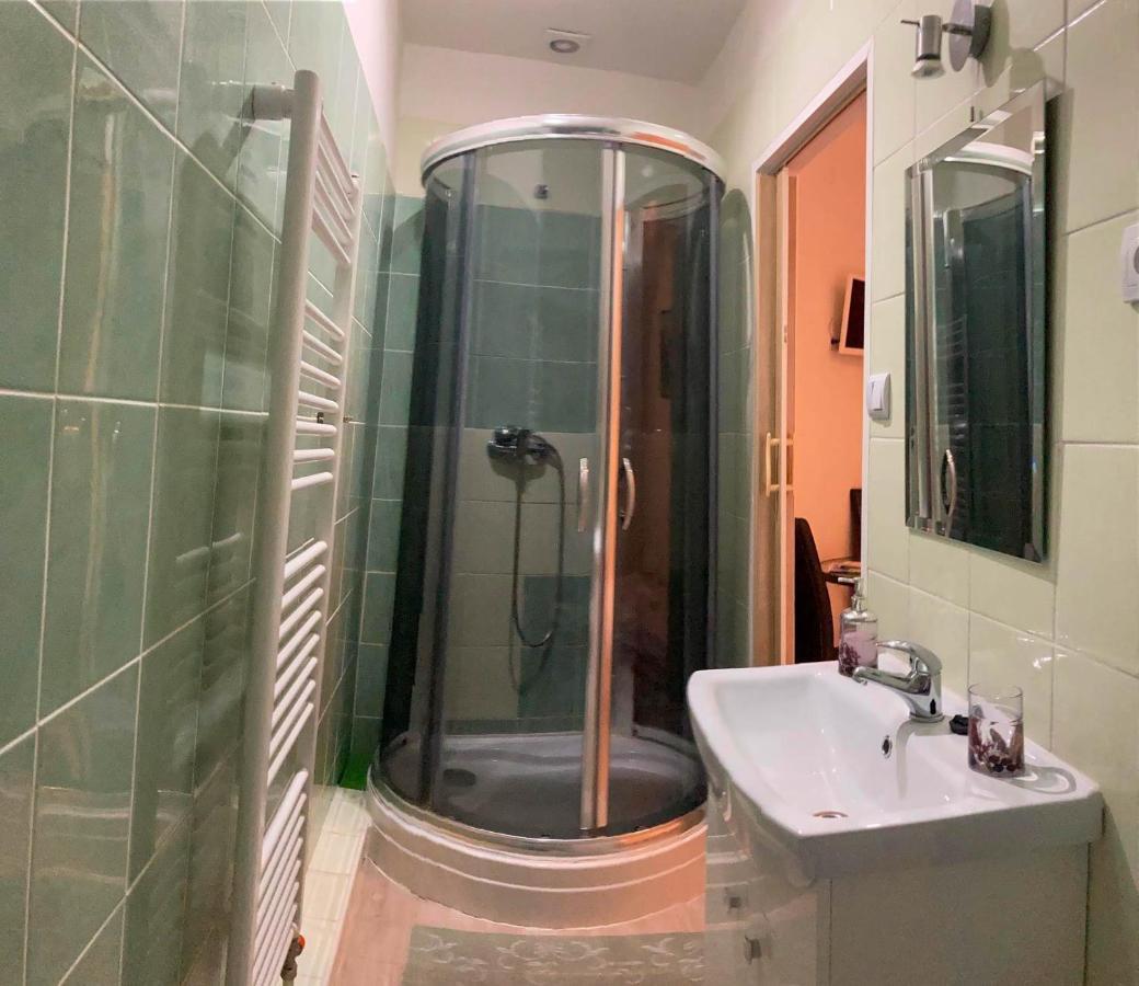 Vila Lesana Nová Lesná Kültér fotó